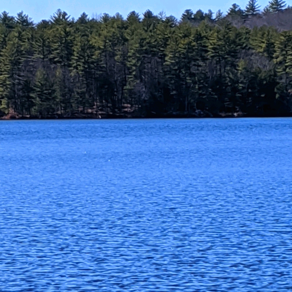 Meet your Posher, Felicia